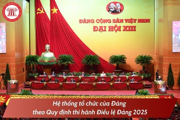 Pháp luật