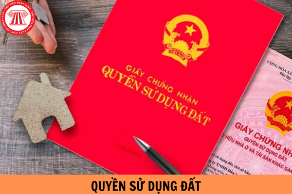 Pháp luật