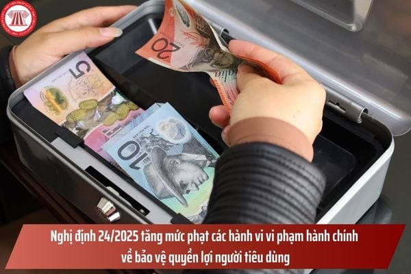 Pháp luật