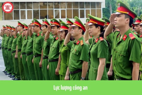 Pháp luật