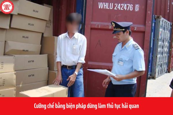 Pháp luật