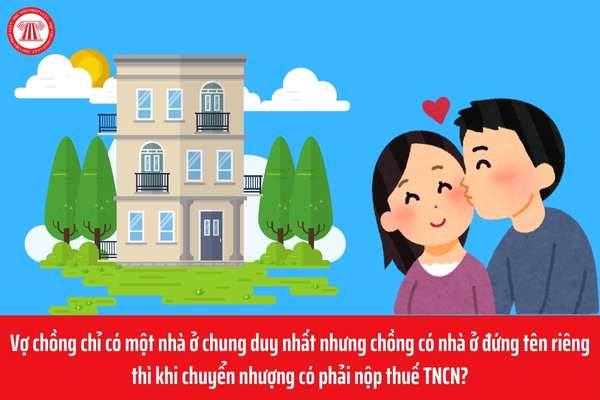 Pháp luật