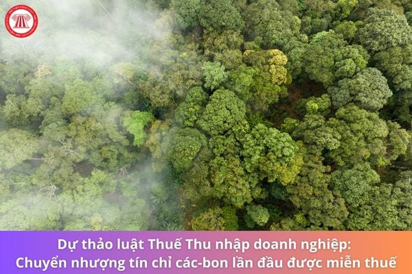 Dự thảo luật Thuế Thu nhập doanh nghiệp: Chuyển nhượng tín chỉ các-bon lần đầu được miễn thuế?