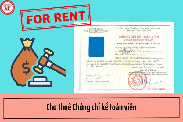 Cá nhân cho thuê Chứng chỉ kế toán viên của mình bị phạt bao nhiêu tiền?