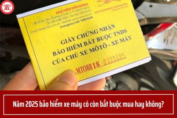 Năm 2025 bảo hiểm xe máy có còn bắt buộc mua hay không? Phí bảo hiểm xe máy năm 2025 là bao nhiêu?