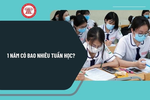 1 năm có bao nhiêu tuần học? Nguyên tắc xây dựng kế hoạch thời gian năm học 2024 2025 của các địa phương ra sao?