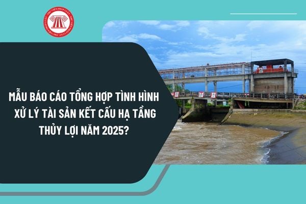 Mẫu báo cáo tổng hợp tình hình xử lý tài sản kết cấu hạ tầng thủy lợi năm 2025? Tải về báo cáo ở đâu?