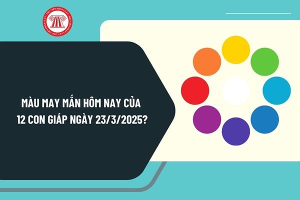 Màu may mắn hôm nay của 12 con giáp ngày 23 3 2025? Màu may mắn hôm nay ngày 23 3 2025 là màu gì?