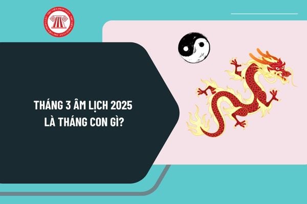 Tháng 3 âm lịch 2025 là tháng con gì? Lịch âm tháng 3 2025 đầy đủ? Xem ngày đẹp tháng 3 âm lịch năm 2025?