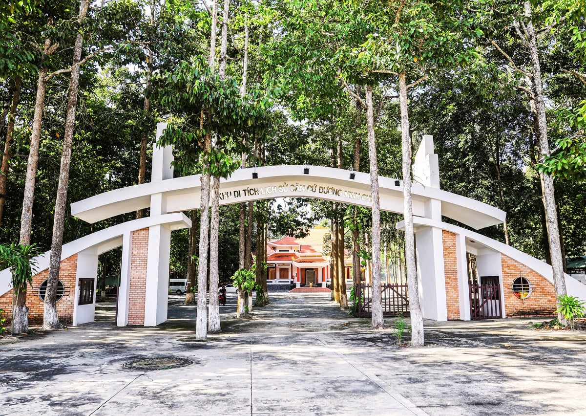 Pháp luật