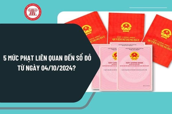 5 mức phạt liên quan đến Sổ đỏ từ ngày 04/10/2024 như thế nào? Mẫu sổ đỏ cũ và mẫu sổ đỏ mới có gì khác biệt không?