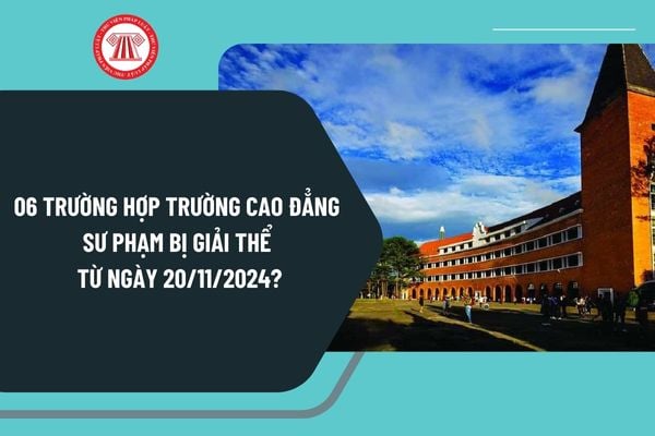 06 trường hợp Trường cao đẳng sư phạm bị giải thể từ ngày 20/11/2024 theo Nghị định 125 như thế nào?