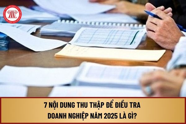 7 nội dung thu thập để điều tra doanh nghiệp năm 2025 là gì? Thời gian điều tra doanh nghiệp năm 2025 khi nào?