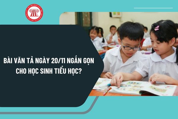 Bài văn tả ngày 20 11 ngắn gọn cho học sinh tiểu học? Viết đoạn văn kể về ngày 20 11 ý nghĩa nhất?