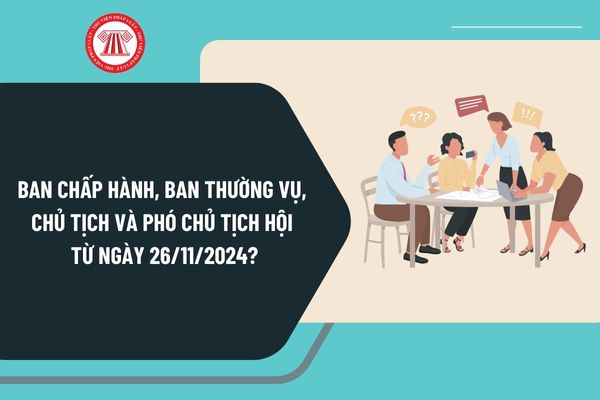 Ban chấp hành, ban thường vụ, chủ tịch và phó chủ tịch hội từ ngày 26/11/2024 được quy định như thế nào?