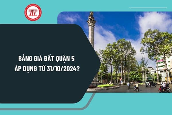 Chi tiết bảng giá đất Quận 5 áp dụng từ 31 tháng 10 năm 2024? Tải bảng giá đất mới TPHCM ở đâu?