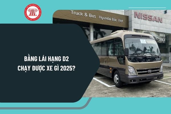 Bằng lái hạng D2 chạy được xe gì 2025? Thời hạn bằng lái hạng D2 trong bao lâu? Quy định mới nhất về bằng lái hạng D2?