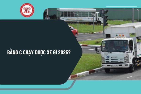 Bằng C chạy được xe gì 2025? Bằng C bao nhiêu tuổi 2025? Thi bằng lái xe hạng C bao nhiêu tuổi?