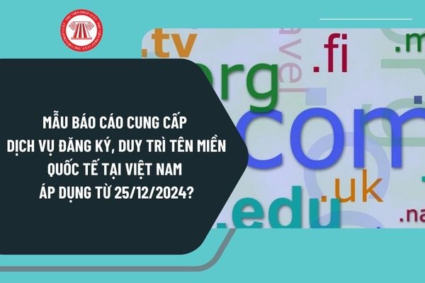 Mẫu báo cáo cung cấp dịch vụ đăng ký, duy trì tên miền quốc tế tại Việt Nam áp dụng từ 25/12/2024 như thế nào?