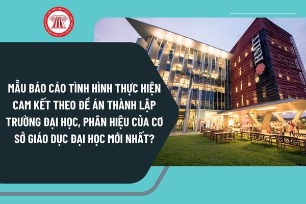 Mẫu báo cáo tình hình thực hiện cam kết theo đề án thành lập trường đại học, phân hiệu của cơ sở giáo dục đại học mới nhất?