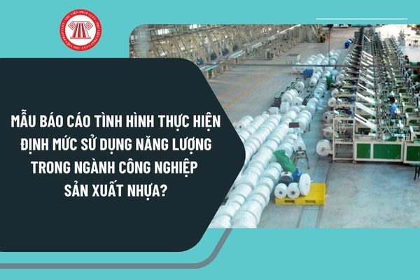 Mẫu báo cáo tình hình thực hiện định mức sử dụng năng lượng trong ngành công nghiệp sản xuất nhựa áp dụng từ 1/4/2025 cho Sở Công Thương?