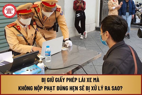 Bị giữ giấy phép lái xe mà không nộp phạt đúng hẹn sẽ bị xử lý ra sao? Bị tạm giữ bằng lái được tham gia giao thông không?