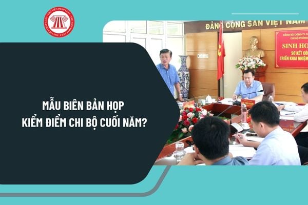 Mẫu biên bản họp kiểm điểm Chi bộ cuối năm mới nhất? Tải mẫu biên bản họp kiểm điểm Chi bộ cuối năm ở đâu?