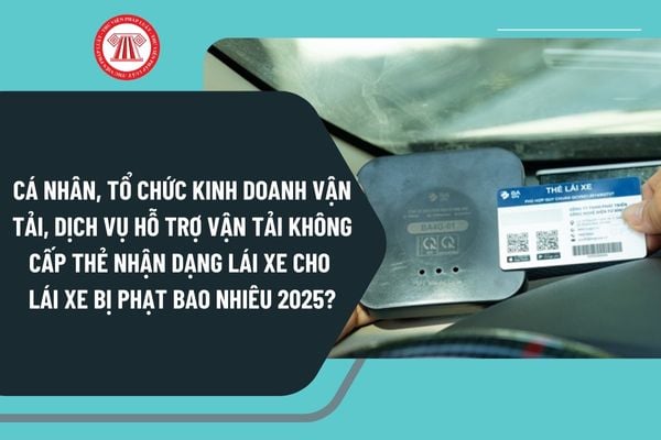 Cá nhân, tổ chức kinh doanh vận tải, dịch vụ hỗ trợ vận tải không cấp thẻ nhận dạng lái xe cho lái xe bị phạt bao nhiêu 2025?