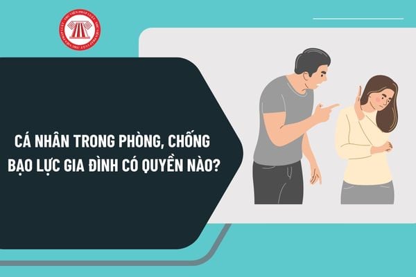 Luật Phòng, chống bạo lực gia đình năm 2022 quy định cá nhân trong phòng, chống bạo lực gia đình có quyền nào?