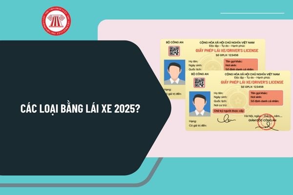 Các loại bằng lái xe 2025? Các loại bằng lái xe và độ tuổi lái xe mới nhất 2025 được quy định ra sao?