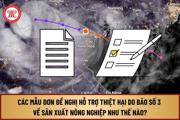 Các mẫu đơn đề nghị hỗ trợ thiệt hại do bão số 3 (Siêu bão YAGI) về sản xuất nông nghiệp như thế nào?