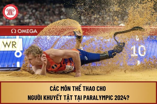 Các môn thể thao cho người khuyết tật tại Paralympic 2024 gồm môn nào? Những môn thể thao chỉ có ở Paralympic?