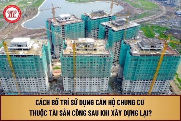 Cách bố trí sử dụng căn hộ chung cư thuộc tài sản công sau khi xây dựng lại từ 1/8/2024 như thế nào?