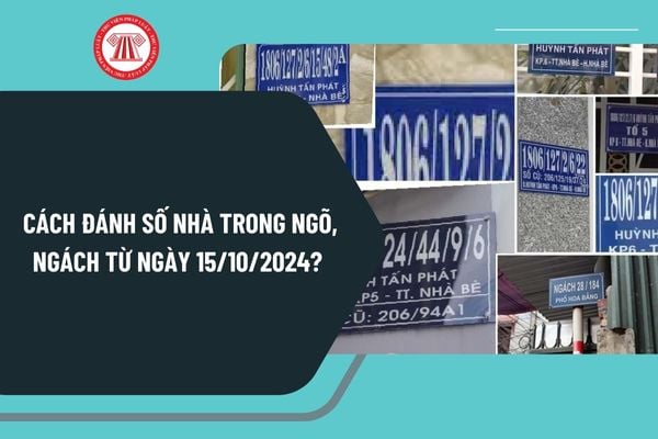 Cách đánh số nhà trong ngõ, ngách từ ngày 15/10/2024 như thế nào? Quy định về yêu cầu của đánh số và gắn biển số nhà ra sao?