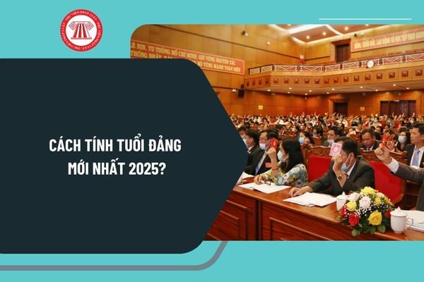 Cách tính tuổi đảng mới nhất 2025? Tuổi đời và trình độ học vấn của người vào Đảng theo Quy định 232 như thế nào?