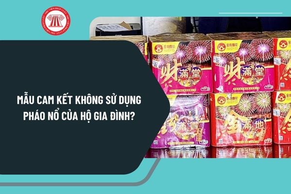 Mẫu cam kết không sử dụng pháo nổ của hộ gia đình? Tải mẫu bản cam kết không sử dụng pháo nổ của hộ gia đình ở đâu?