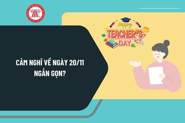 Cảm nghĩ về ngày 20 11 ngắn gọn? Mẫu bài cảm nghĩ về Ngày Nhà giáo Việt Nam 20 11 ý nghĩa?