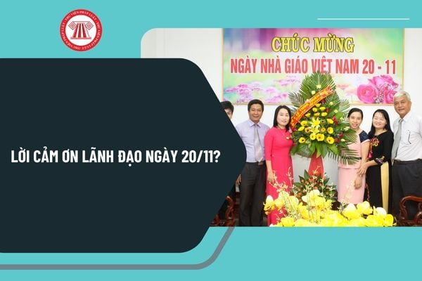 Lời cảm ơn lãnh đạo ngày 20 11? Mẫu lời cảm ơn lãnh đạo nhân ngày 20 11 chọn lọc, ý nghĩa?