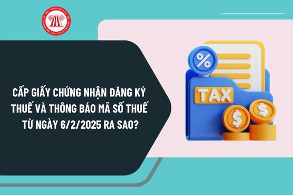 Cấp Giấy chứng nhận đăng ký thuế và Thông báo mã số thuế từ ngày 6/2/2025 ra sao? Sử dụng mã số thuế như thế nào?