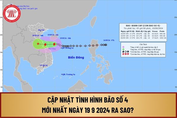 Cập nhật tình hình bão số 4 mới nhất ngày 19 9 2024 ra sao? Dự báo diễn biến bão số 4 trong 24h tới như thế nào?