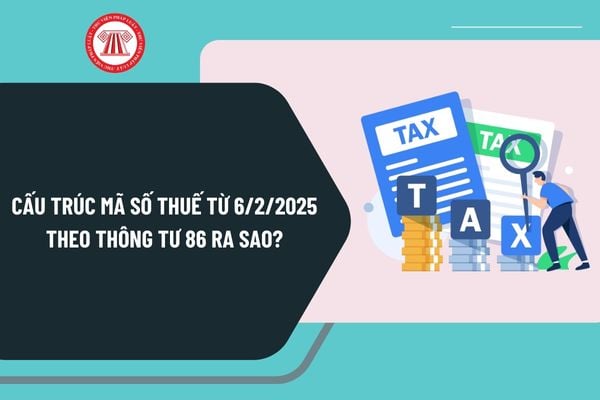 Cấu trúc mã số thuế từ 6/2/2025 theo Thông tư 86 ra sao? Đối tượng đăng ký thuế được quy định như thế nào?