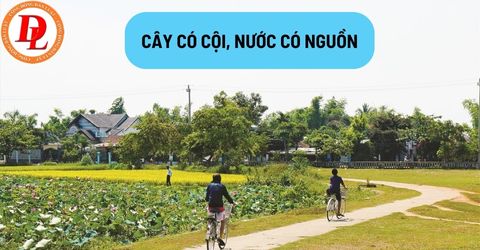 cay-co-coi-nuoc-co-nguon