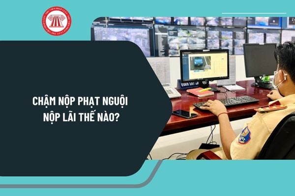 Chậm nộp phạt nguội nộp lãi thế nào? Cách tính tiền lãi chậm nộp phạt nguội 2025? Hướng dẫn kiểm tra phạt nguội online 2025?