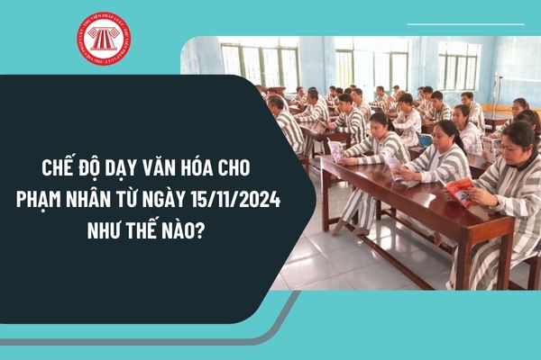 Chế độ dạy văn hóa cho phạm nhân từ ngày 15/11/2024 như thế nào? Chế độ đối với cán bộ tham gia giảng dạy ra sao?