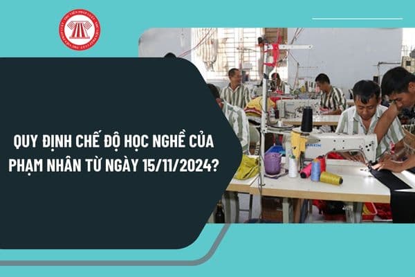 Quy định chế độ học nghề của phạm nhân từ ngày 15/11/2024 theo Nghị định 118/2024 như thế nào?