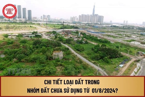 Chi tiết loại đất trong nhóm đất chưa sử dụng từ ngày 01/8/2024 theo Nghị định 102/2024/NĐ-CP quy định thế nào?