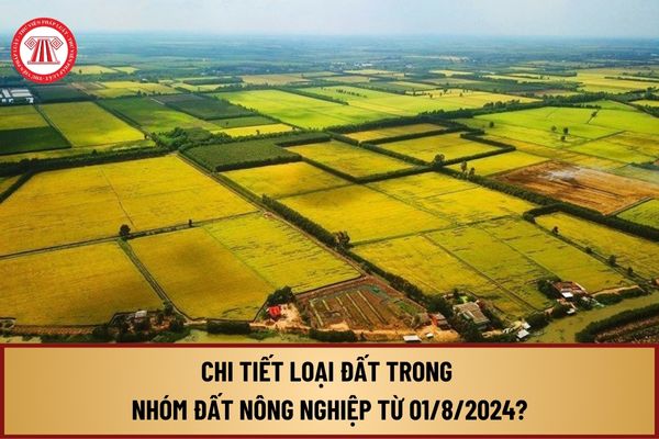 Chi tiết loại đất trong nhóm đất nông nghiệp từ ngày 01/8/2024 quy định tại Nghị định 102/2024/NĐ-CP như thế nào?