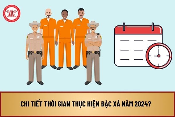 Chi tiết thời gian thực hiện đặc xá năm 2024? Đối tượng nào được áp dụng việc đặc xá năm 2024?