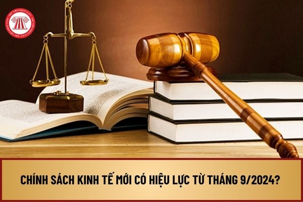 Chính sách kinh tế mới có hiệu lực từ tháng 9/2024? Sửa quy định mua, bán ngoại tệ giữa dự trữ ngoại hối với ngân sách nhà nước?