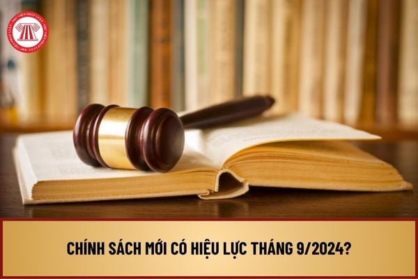 Chính sách mới có hiệu lực tháng 9/2024? Chính thức cho phép một số trường học được bổ nhiệm 3 phó hiệu trưởng?